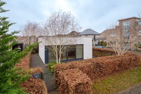 Remusstraat thumbnail