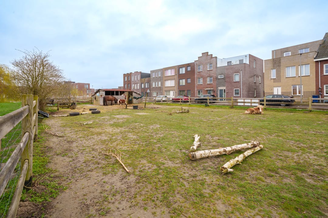 Foto 31 van Remusstraat 7