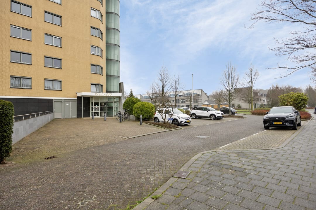 Photo 7 of Erasmuspark 136