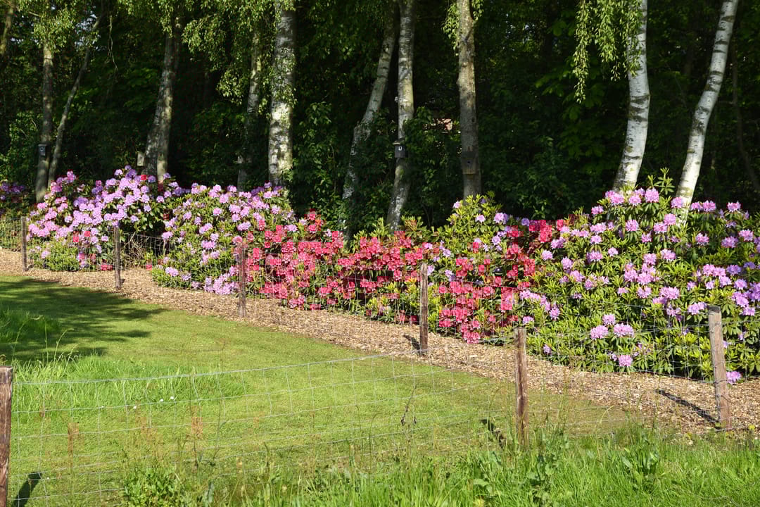 Foto 43 van Puurveenseweg 31