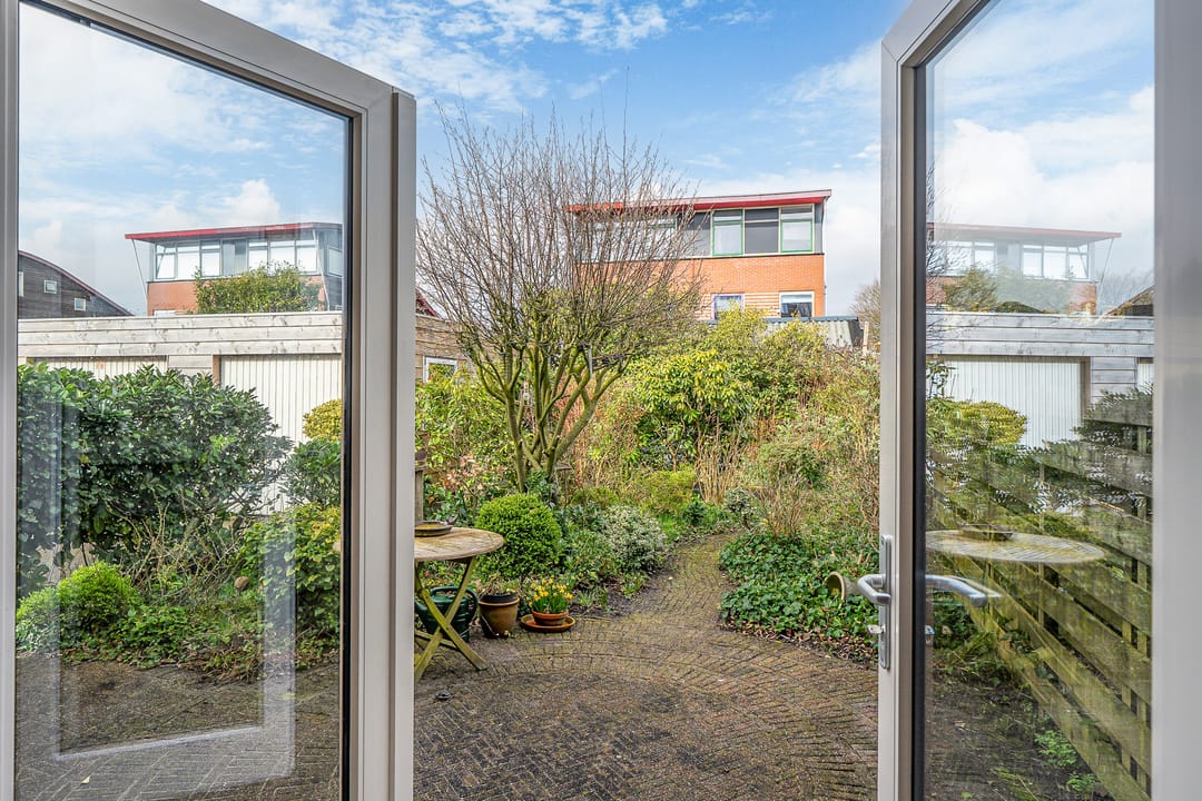 Foto 2 van Fopma's reed 22