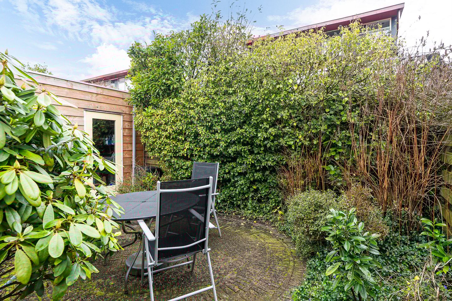 Foto 29 van Fopma's reed 22