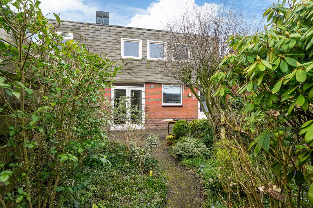 Foto 31 van Fopma's reed 22