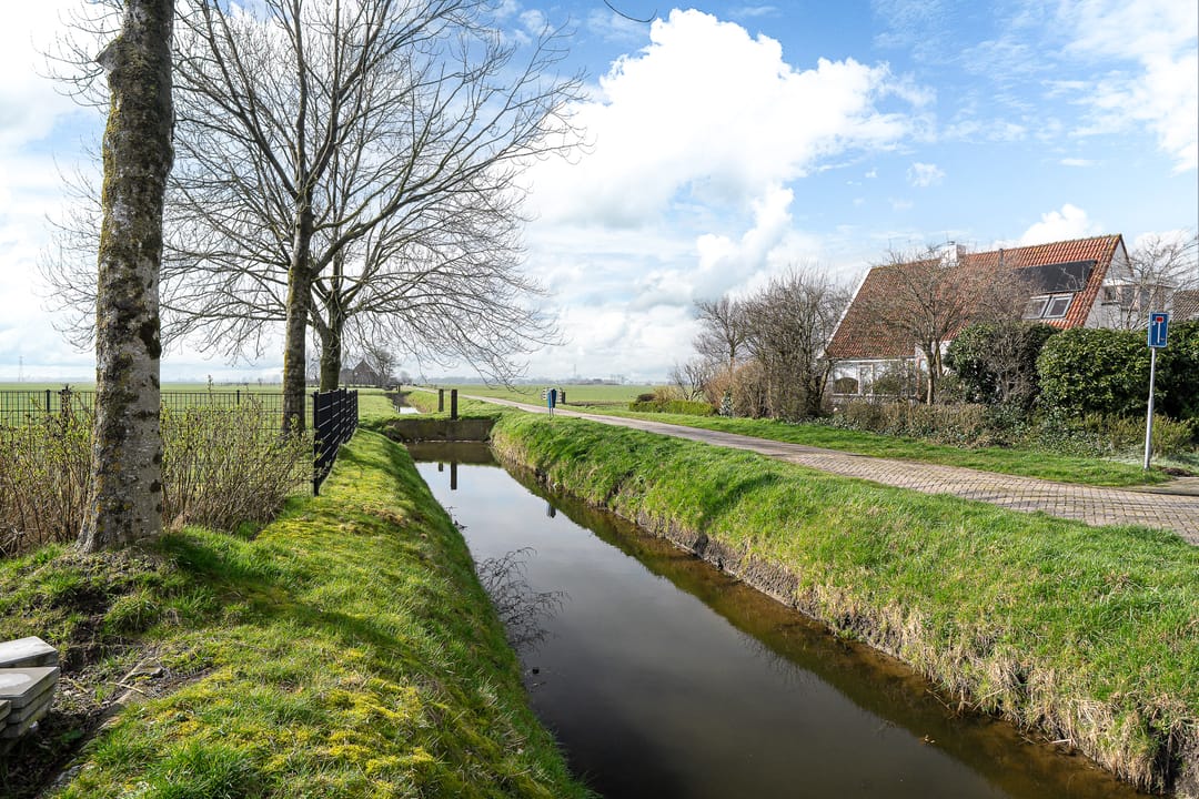 Foto 38 van Fopma's reed 22