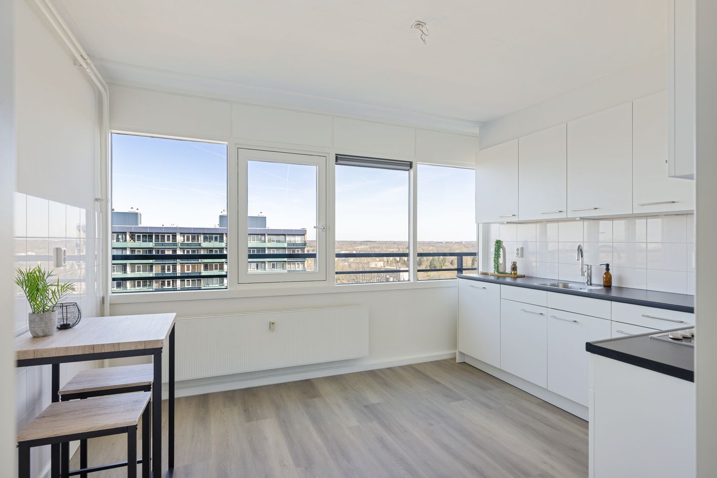 Foto 19 van Lamérislaan 74