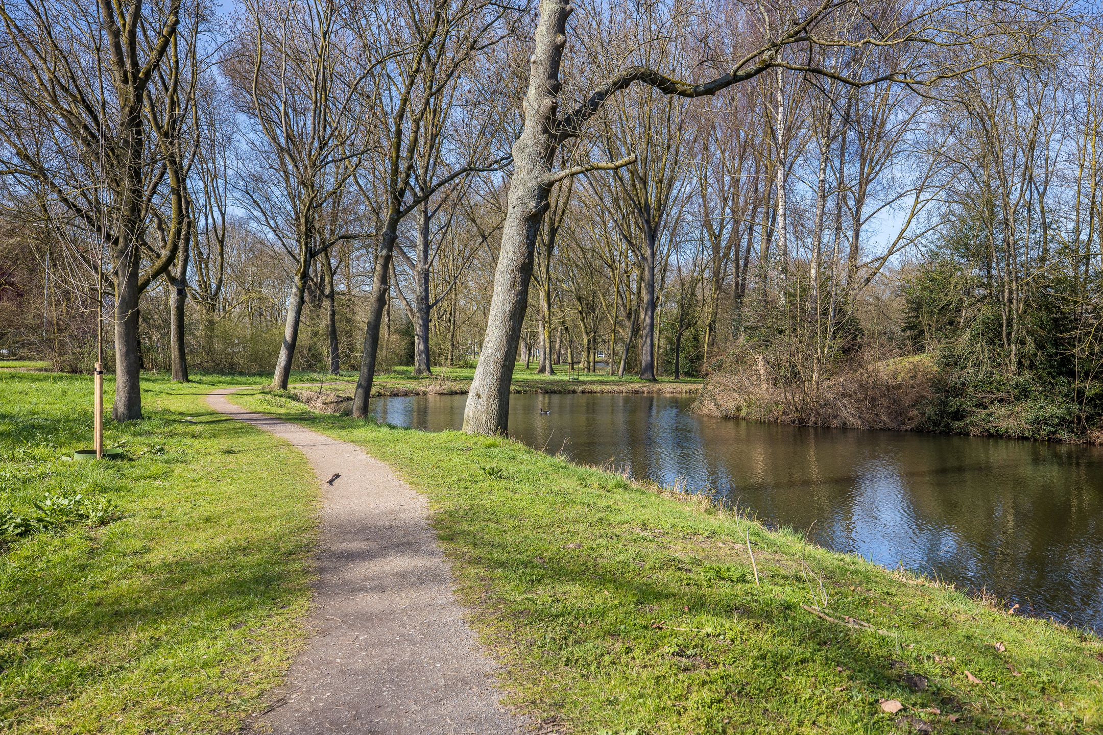 Foto 27 van Lamérislaan 92