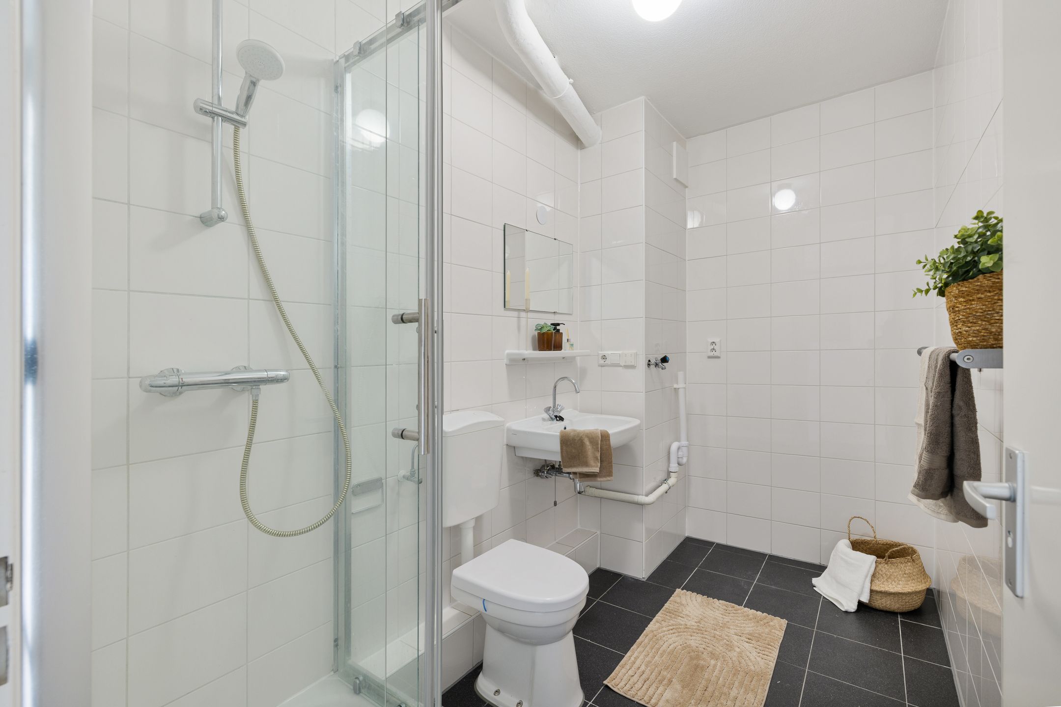 Foto 12 van Lamérislaan 482