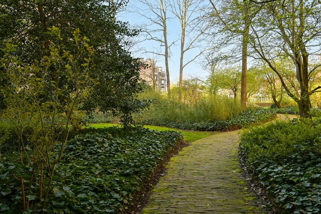 Foto 7 van Burgemeester Patijnlaan 292