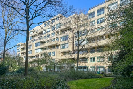 Burgemeester Patijnlaan thumbnail