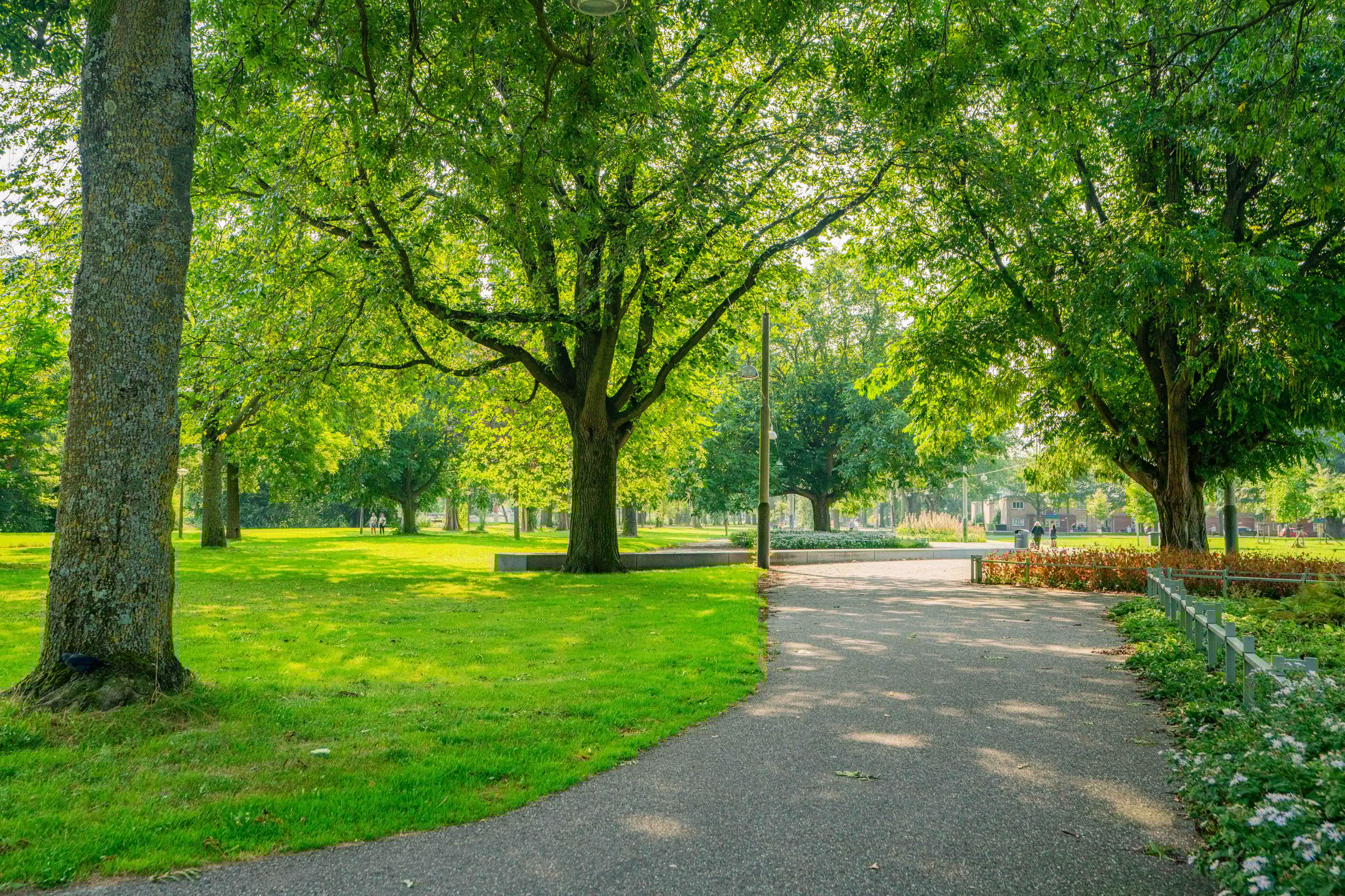 Foto 42 van Van Suchtelen van de Haarestraat 107