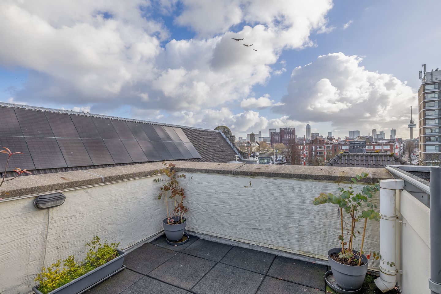 Foto 5 van Voorhaven 24