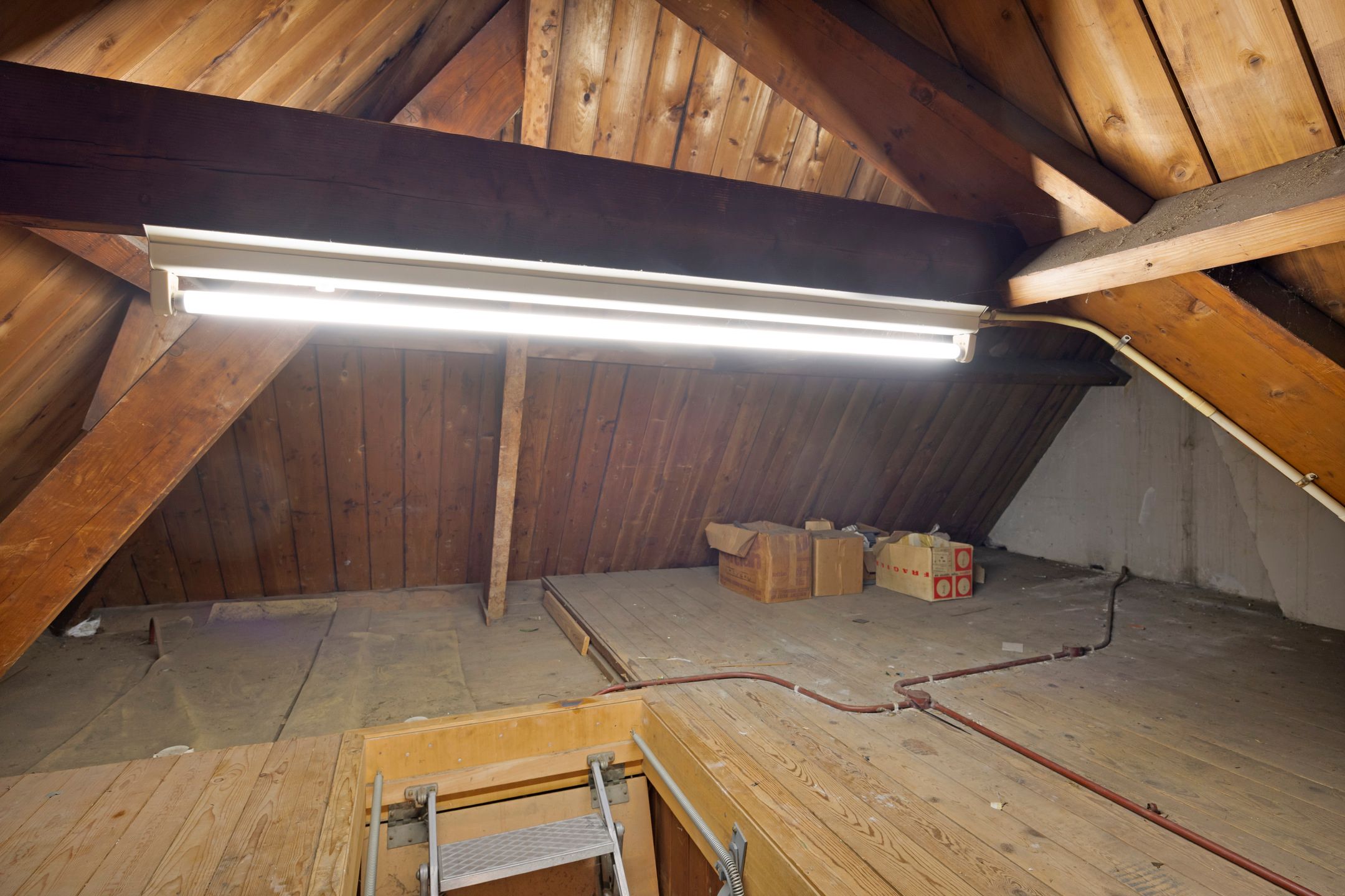 Foto 54 van Fruinlaan 8