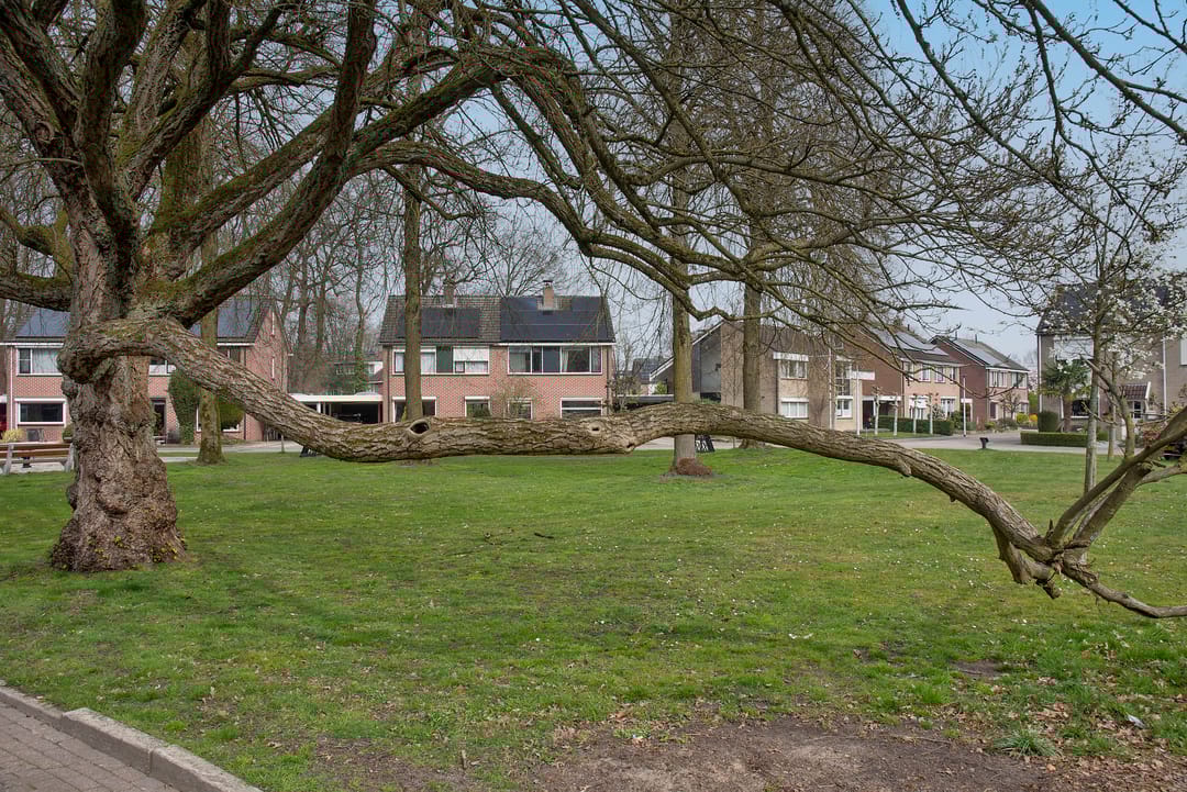 Photo 31 of Paul van Kempenstraat 67