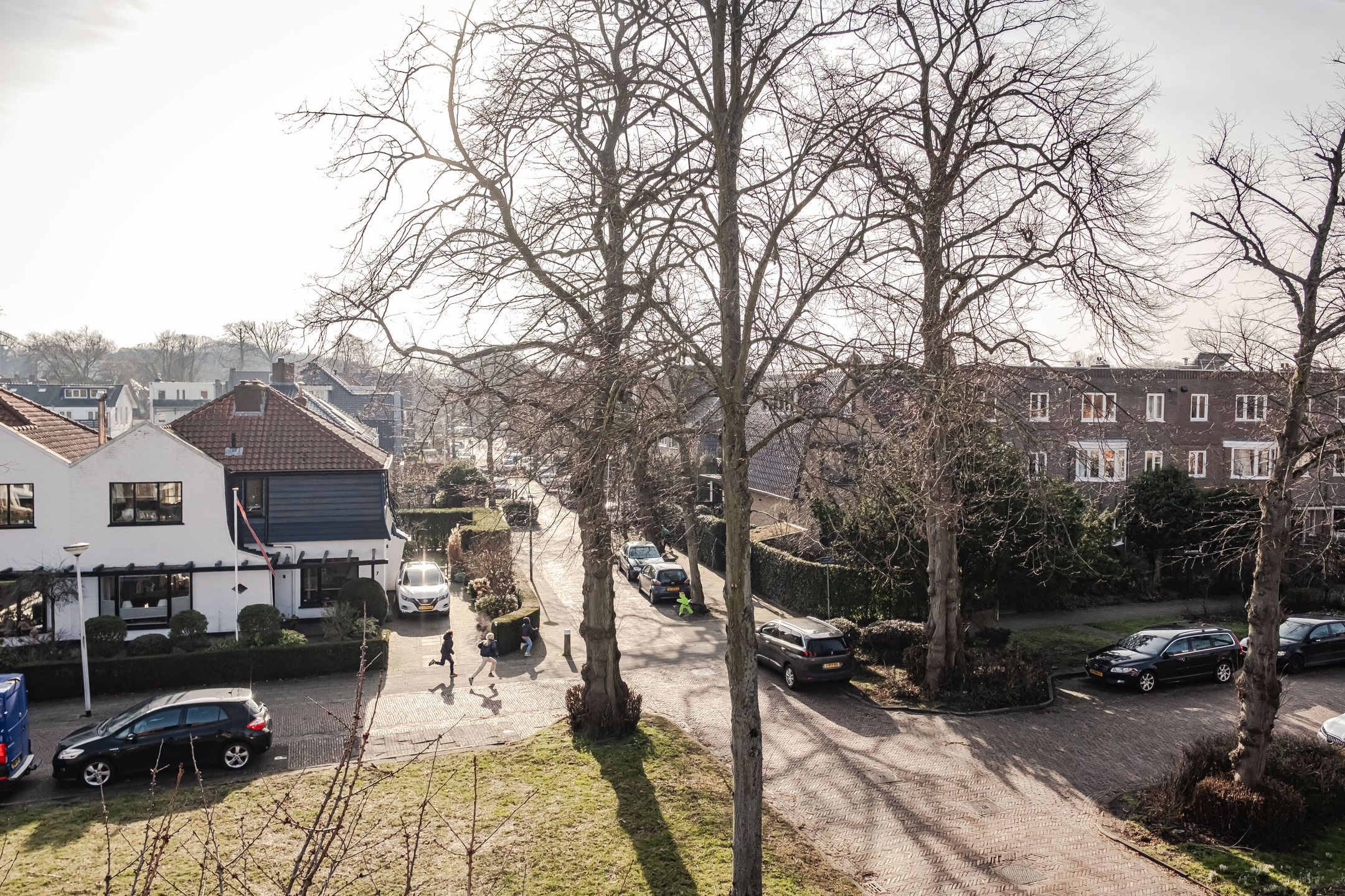 Foto 42 van Laan van Rozenburg 12