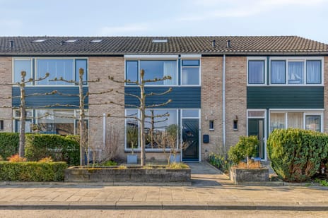 Prunusstraat thumbnail