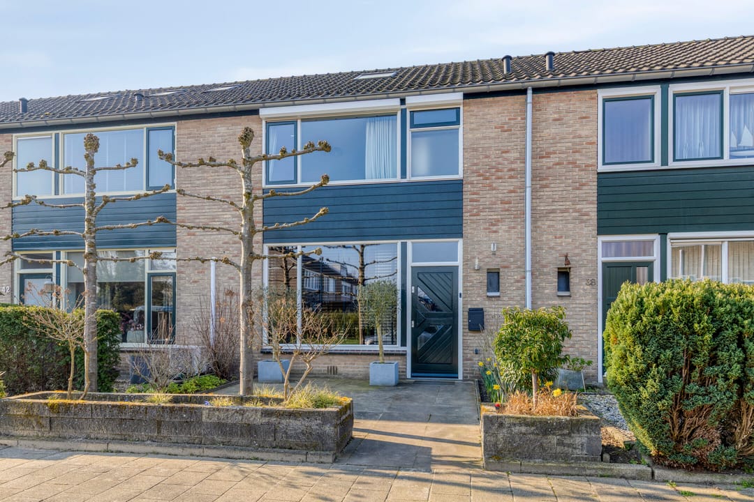 Photo 2 of Prunusstraat 40