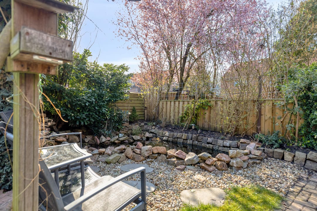 Photo 22 of Tichelaar 43