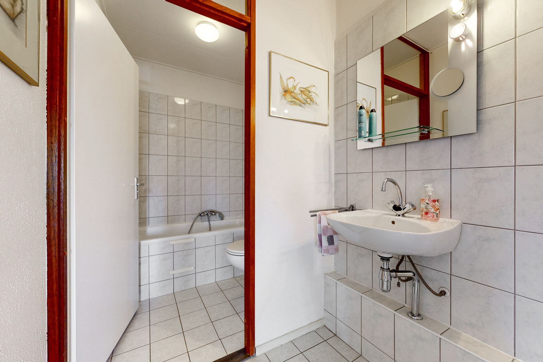 Foto 18 van Schaepmanplein 28