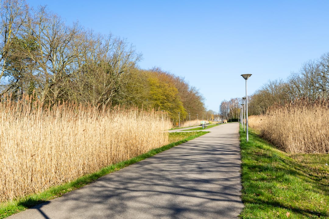 Foto 32 van Oldegaarde 810