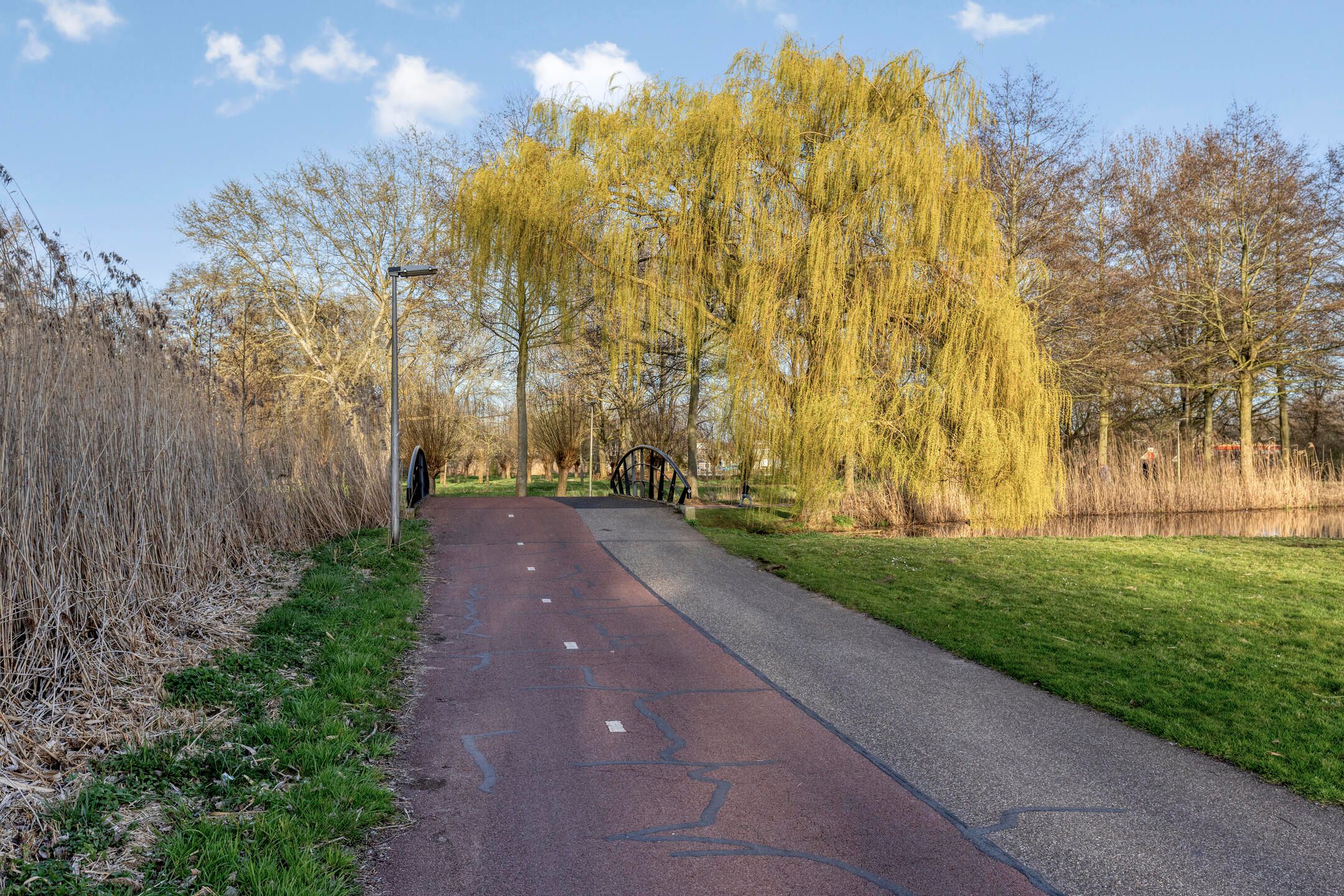 Foto 48 van Zwanenkade 142