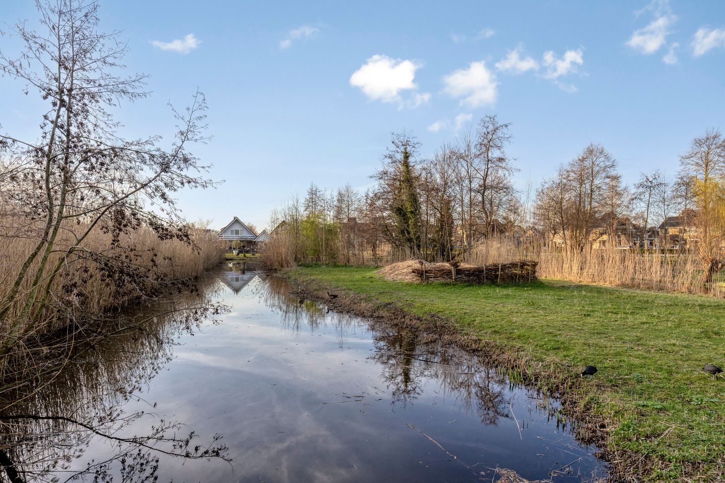 Foto 49 van Zwanenkade 142