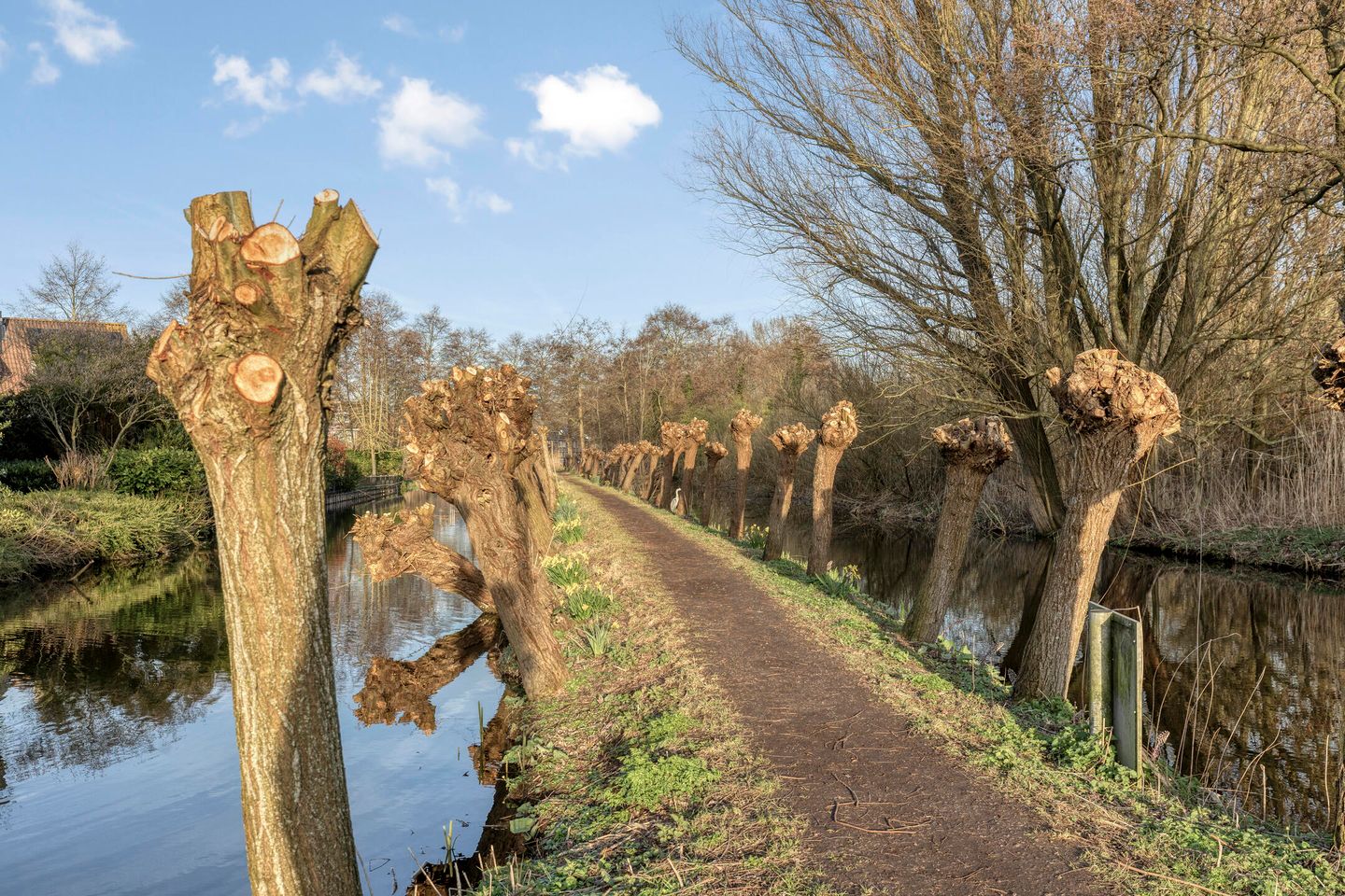 Foto 50 van Zwanenkade 142