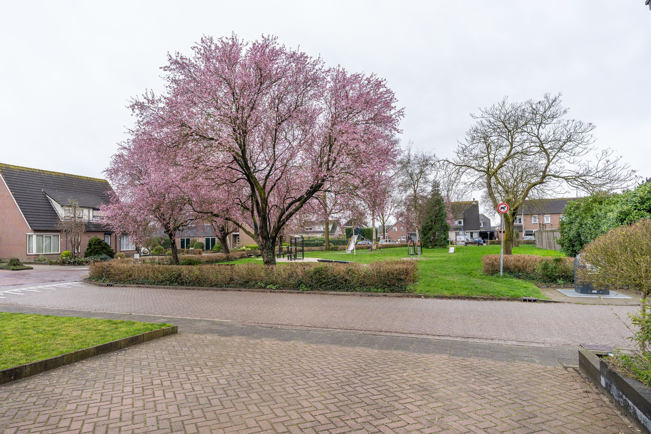 Foto 36 van De Torenvalk 12