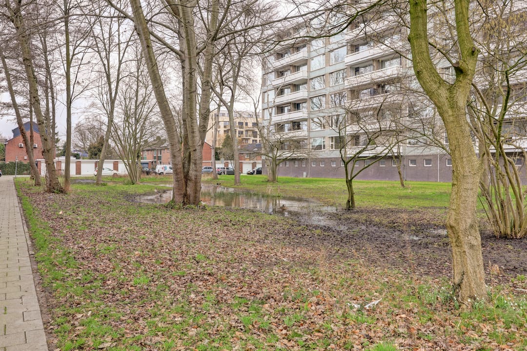 Foto 28 van Everaertstraat 253