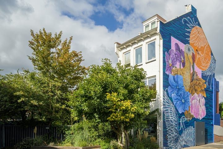 Hoge Steenweg 17 main image