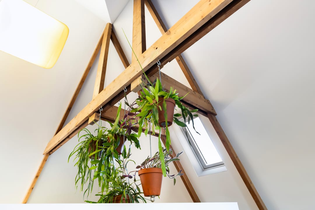 Photo 38 of Kamerlingh Onnesweg 265