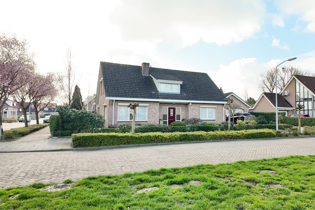 Foto 82 van Oesterzwam 33