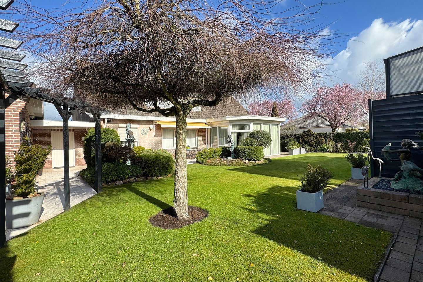 Foto 5 van Oesterzwam 33