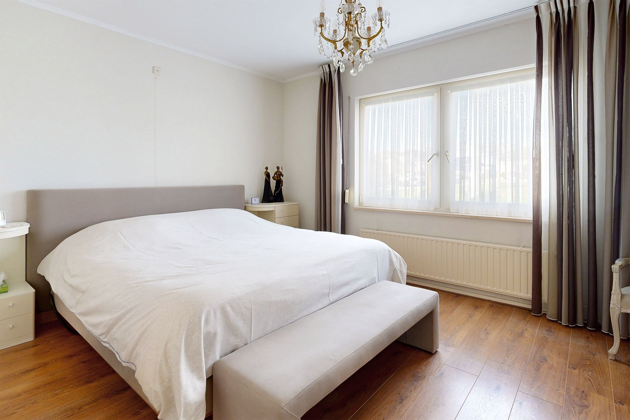 Foto 12 van Oesterzwam 33