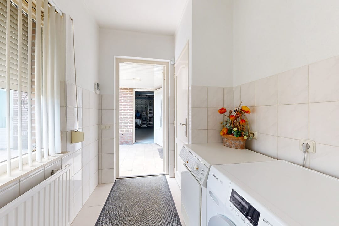 Foto 41 van Oesterzwam 33