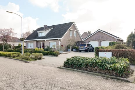 Oesterzwam thumbnail