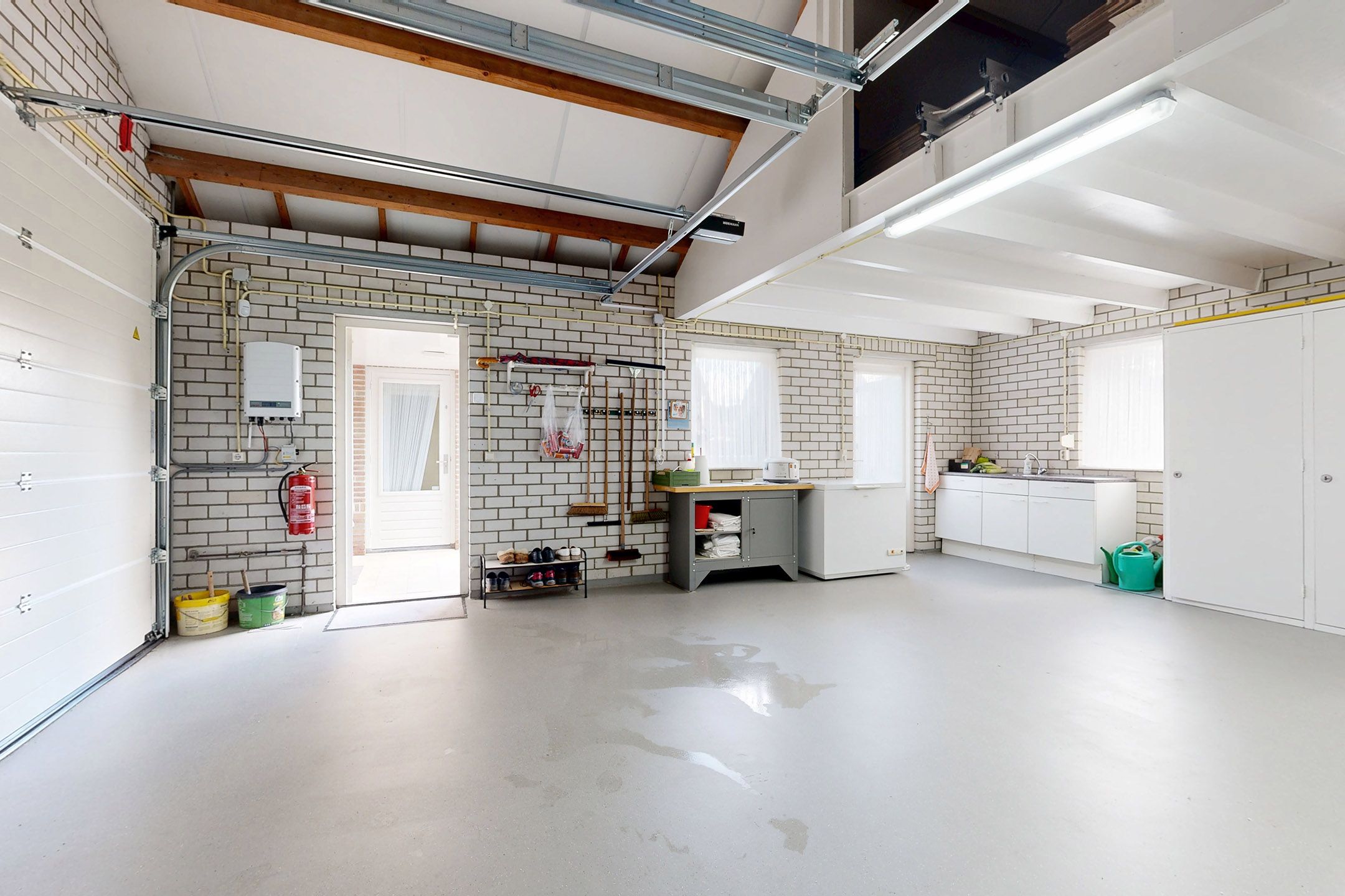 Foto 48 van Oesterzwam 33