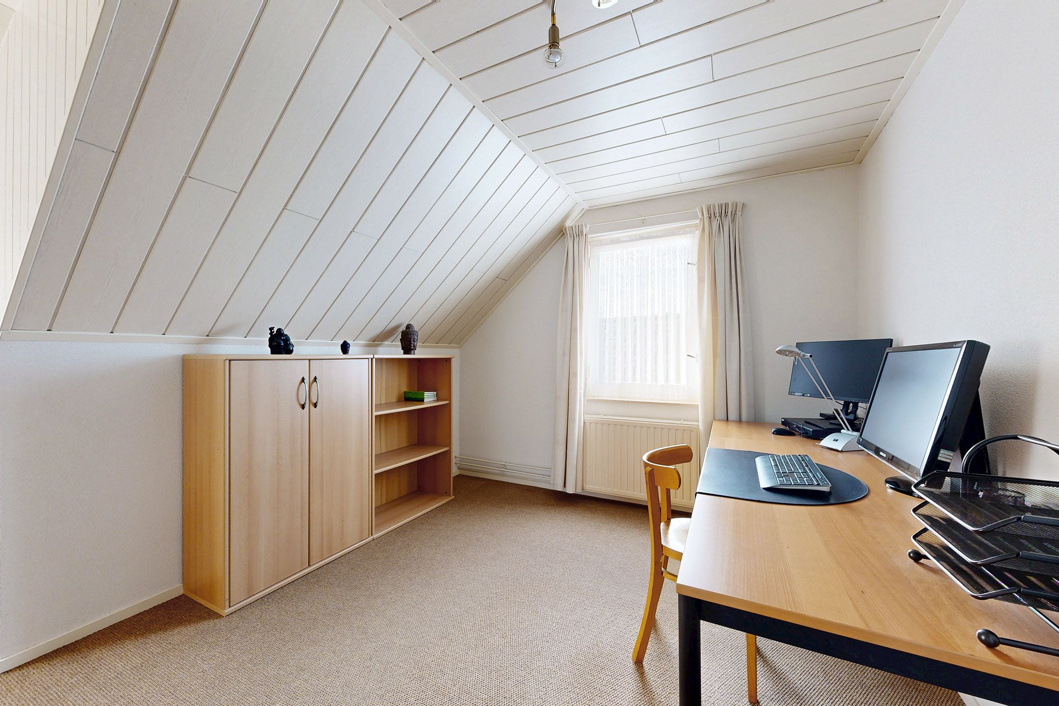 Foto 60 van Oesterzwam 33