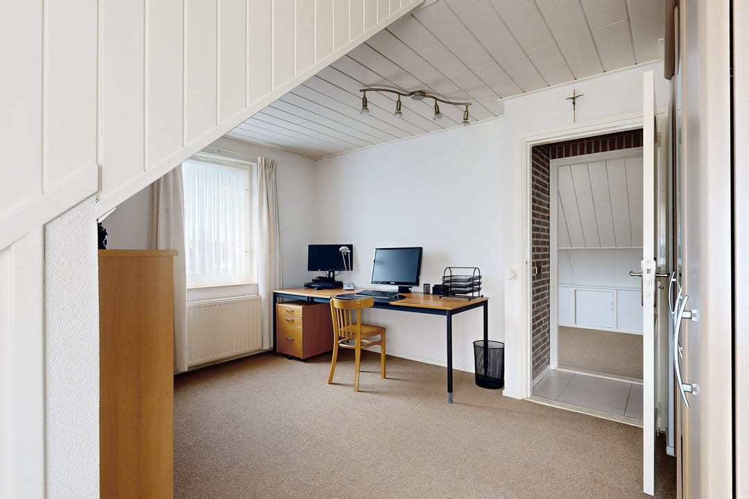 Foto 62 van Oesterzwam 33