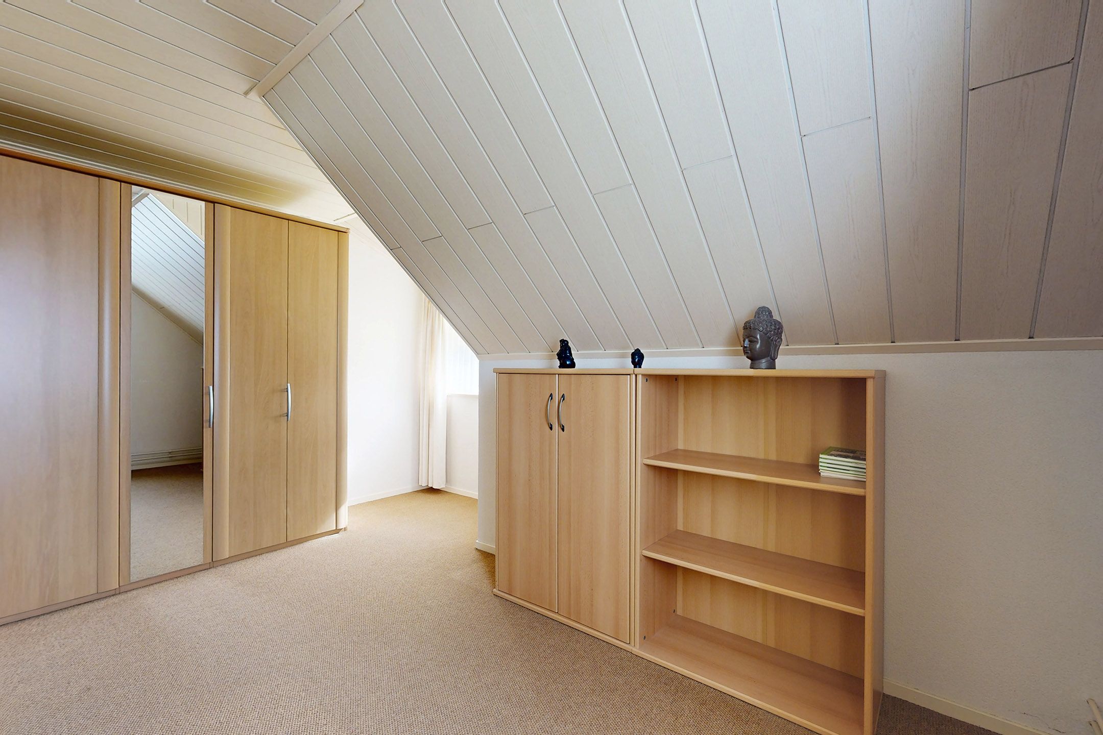 Foto 63 van Oesterzwam 33