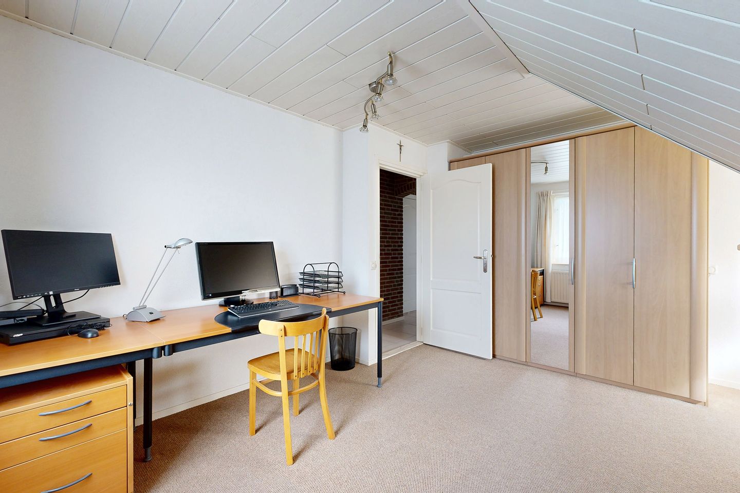 Foto 64 van Oesterzwam 33