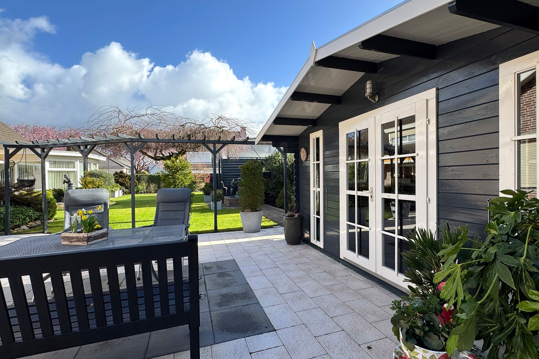 Foto 78 van Oesterzwam 33