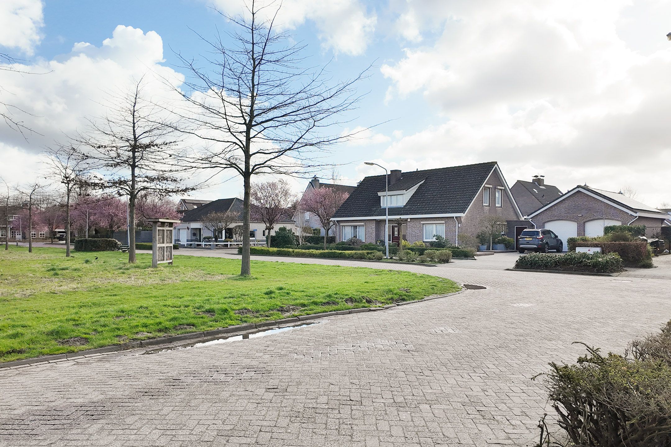 Foto 81 van Oesterzwam 33