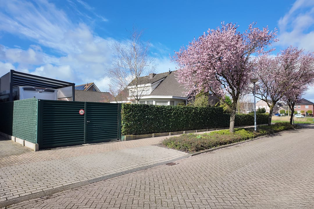 Foto 83 van Oesterzwam 33