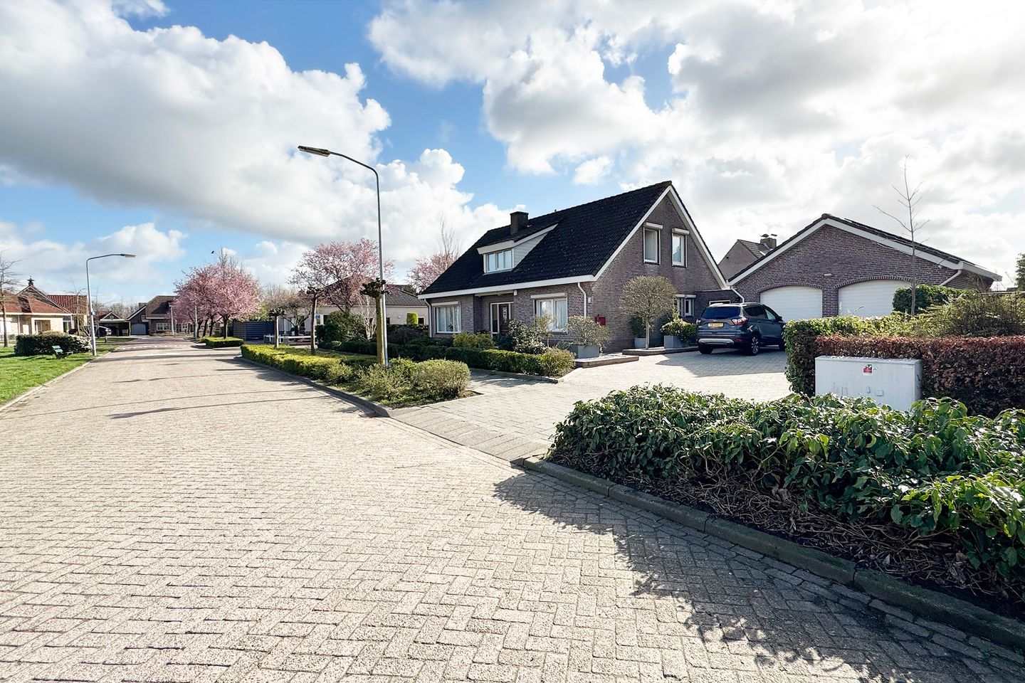 Foto 85 van Oesterzwam 33