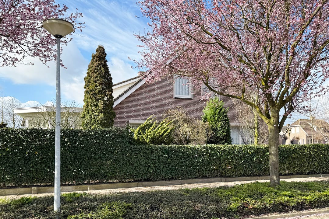 Foto 86 van Oesterzwam 33