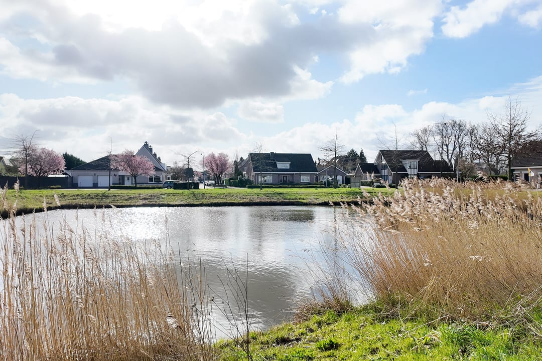 Foto 88 van Oesterzwam 33