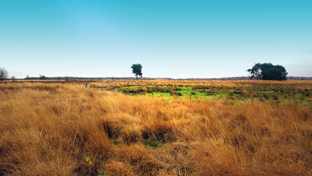 Foto 62 van Liefkenshoek 14