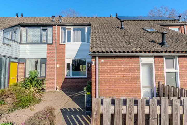 Foto 2 van de Anjer 26