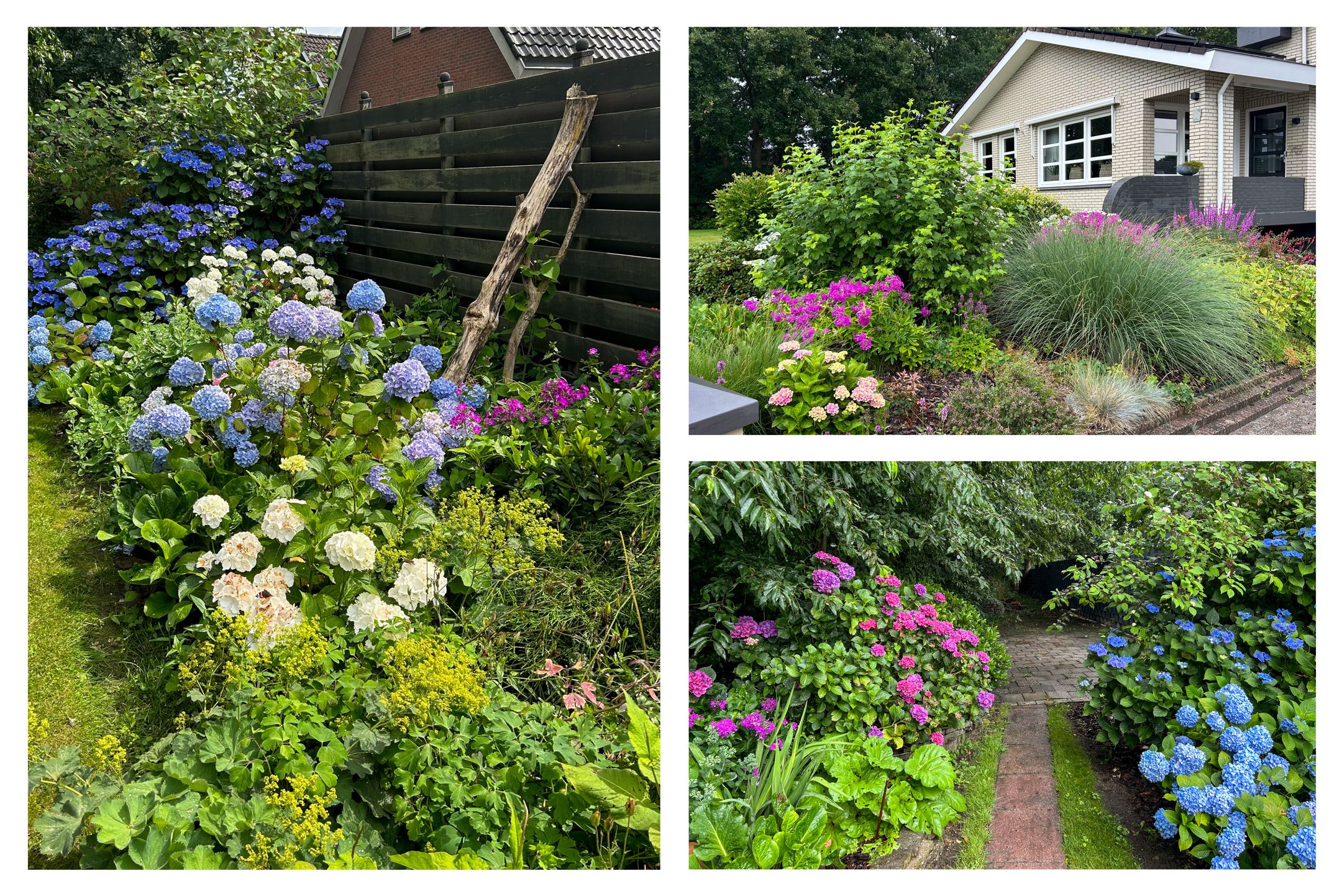 Foto 60 van Kavelingen 76