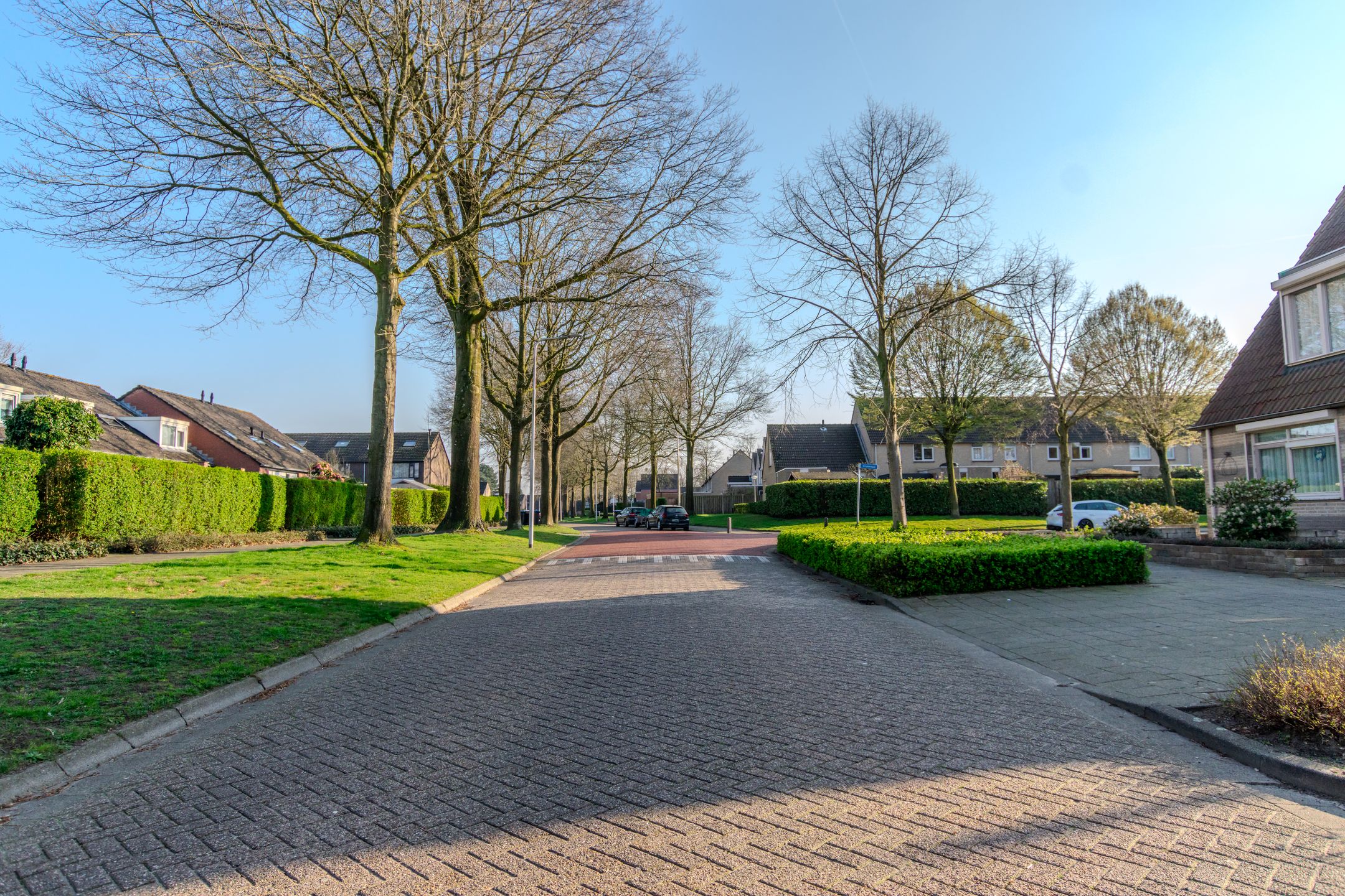Foto 45 van de Anjer 26